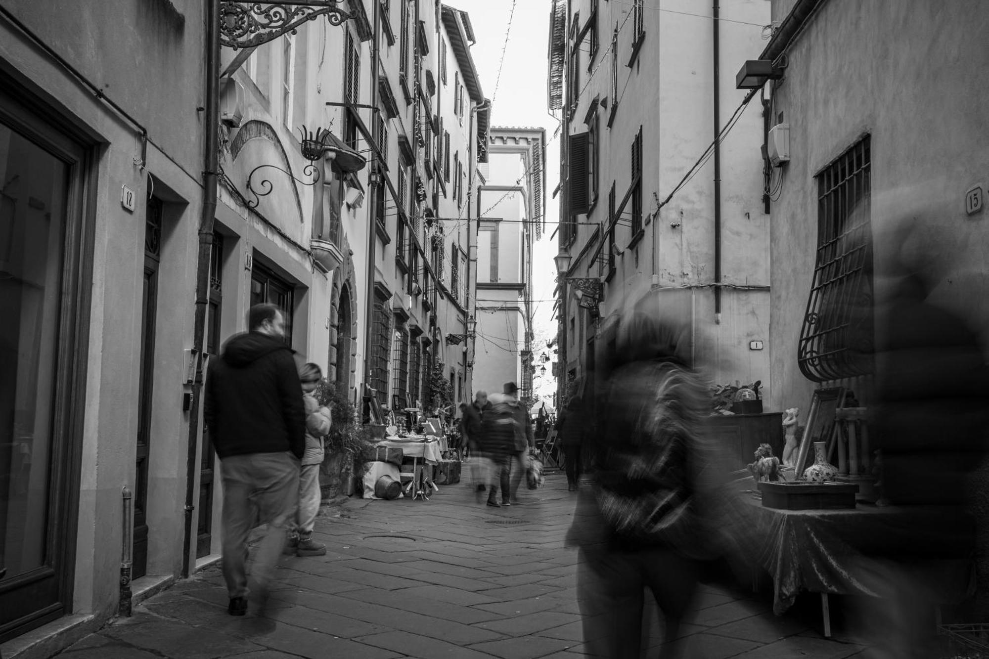 Oasi Nel Cuore Di Lucca, Super Centrale E Luminoso Buitenkant foto